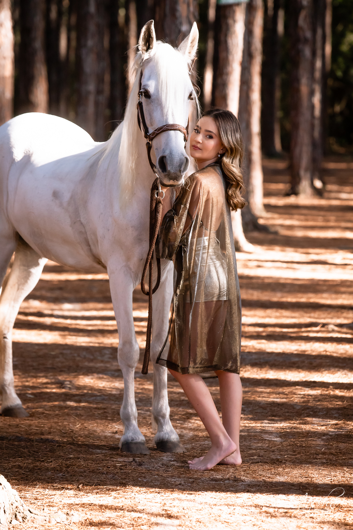 Ensaio de debutante; ensaio com cavalos; debutantes; 15 anos; cavalo; castelo do batel, dreamland; cerezzo eventos; central hall; florianópolis; haras ype; 15 anos curitiba; festa de 15 anos; vestido de debutante; castello reale; Palacio Italia;