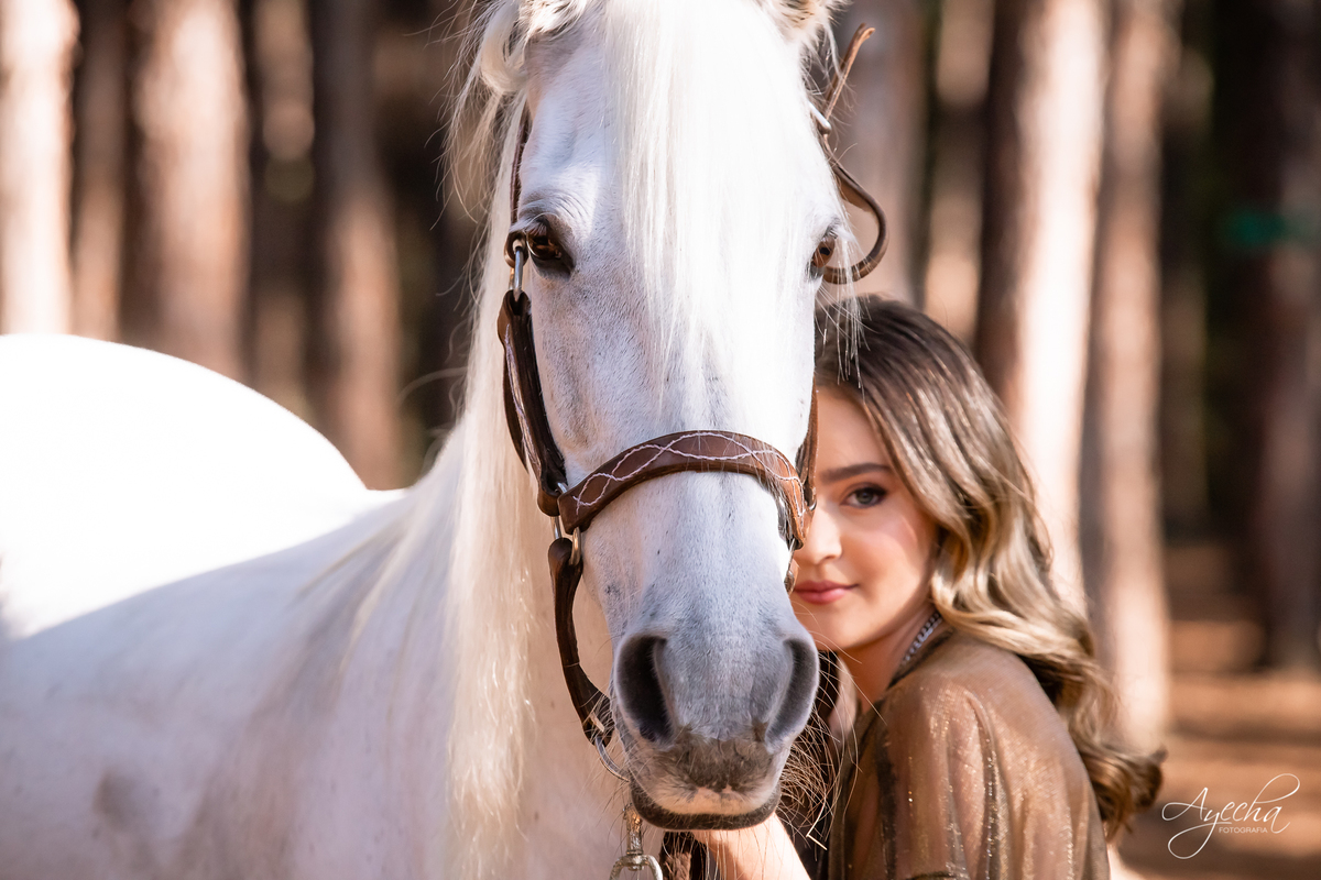 Ensaio de debutante; ensaio com cavalos; debutantes; 15 anos; cavalo; castelo do batel, dreamland; cerezzo eventos; central hall; florianópolis; haras ype; 15 anos curitiba; festa de 15 anos; vestido de debutante; castello reale; Palacio Italia;
