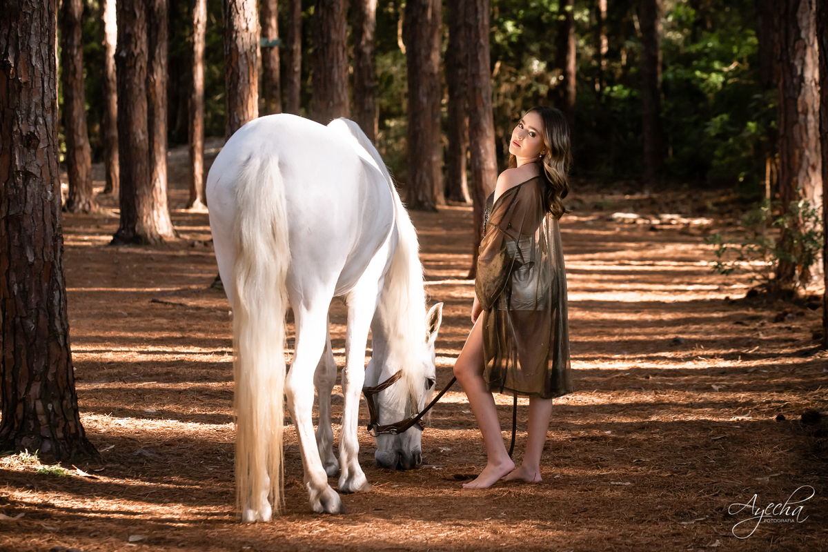 Ensaio de debutante; ensaio com cavalos; debutantes; 15 anos; cavalo; castelo do batel, dreamland; cerezzo eventos; central hall; florianópolis; haras ype; 15 anos curitiba; festa de 15 anos; vestido de debutante; castello reale; Palacio Italia;