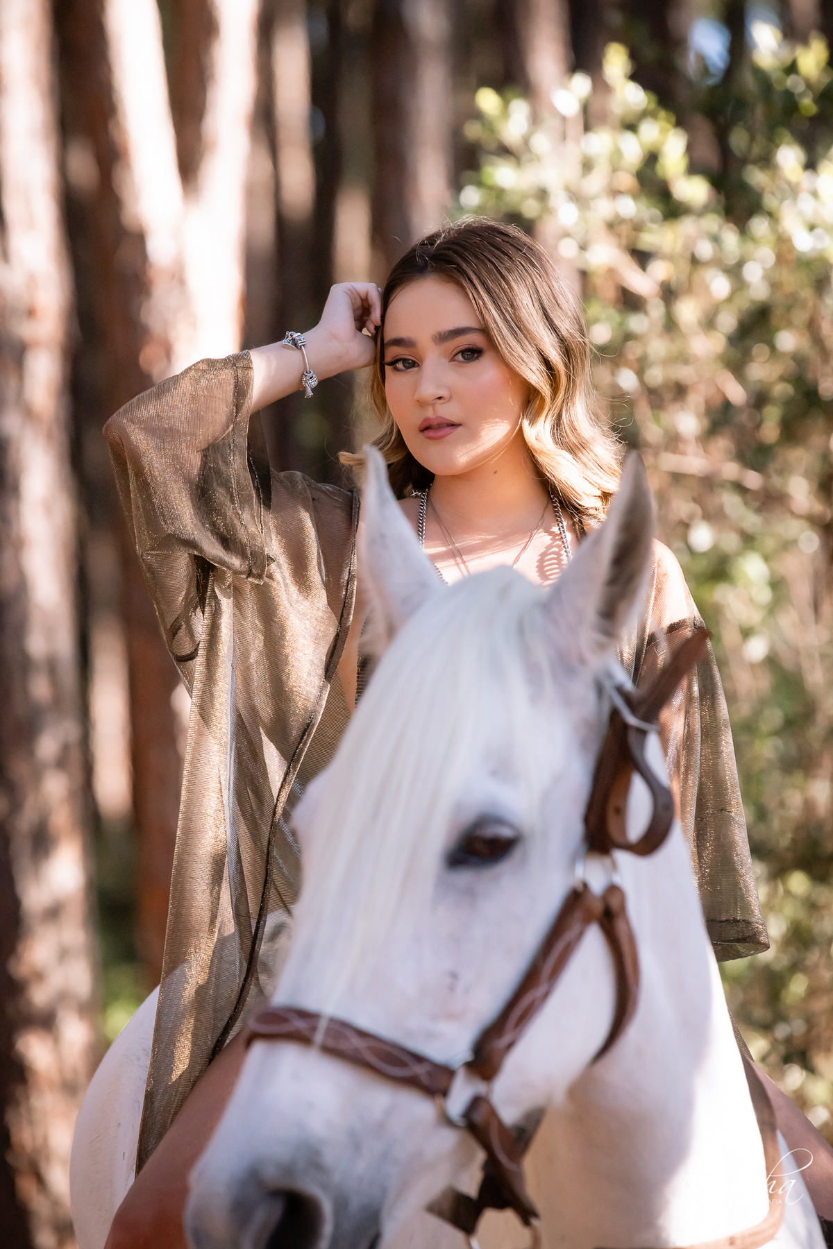 Ensaio de debutante; ensaio com cavalos; debutantes; 15 anos; cavalo; castelo do batel, dreamland; cerezzo eventos; central hall; florianópolis; haras ype; 15 anos curitiba; festa de 15 anos; vestido de debutante; castello reale; Palacio Italia;