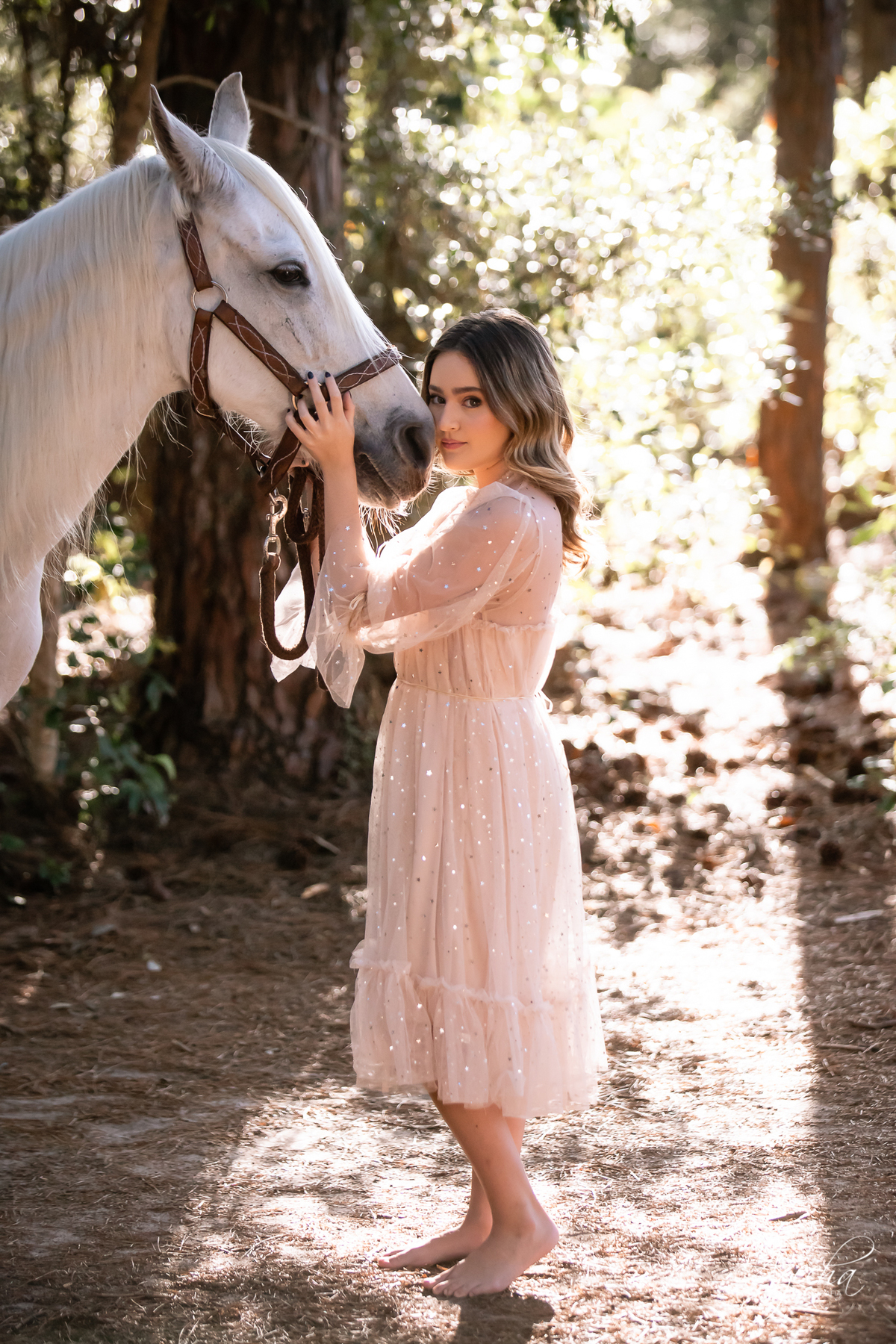 Ensaio de debutante; ensaio com cavalos; debutantes; 15 anos; cavalo; castelo do batel, dreamland; cerezzo eventos; central hall; florianópolis; haras ype; 15 anos curitiba; festa de 15 anos; vestido de debutante; castello reale; Palacio Italia;