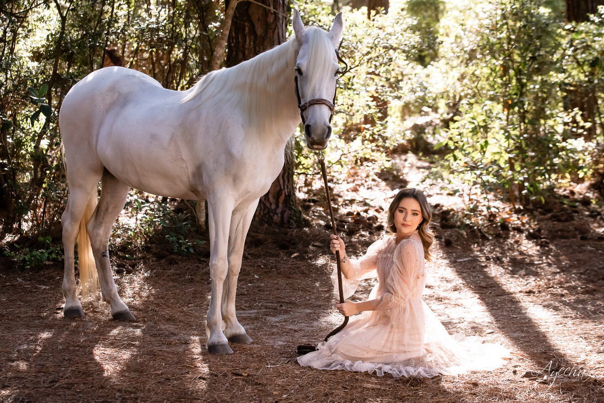 Ensaio de debutante; ensaio com cavalos; debutantes; 15 anos; cavalo; castelo do batel, dreamland; cerezzo eventos; central hall; florianópolis; haras ype; 15 anos curitiba; festa de 15 anos; vestido de debutante; castello reale; Palacio Italia;