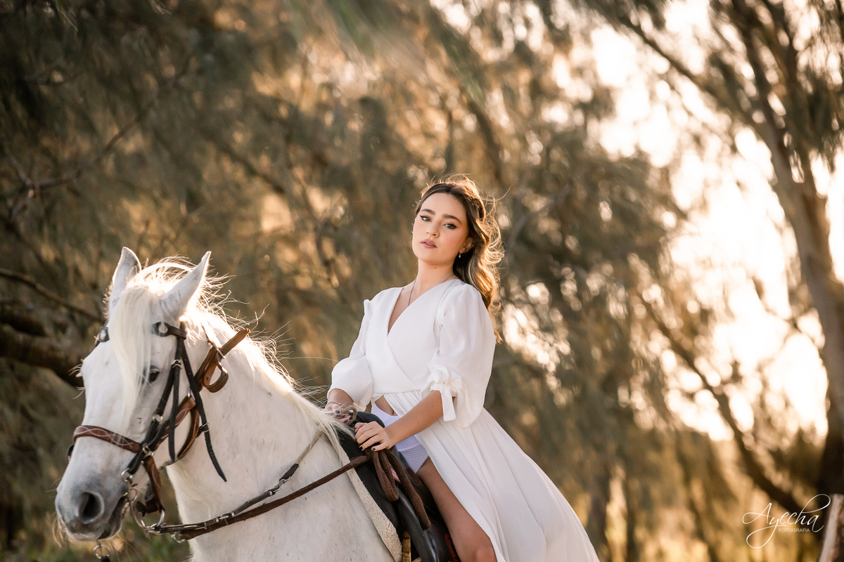 Ensaio de debutante; ensaio com cavalos; debutantes; 15 anos; cavalo; castelo do batel, dreamland; cerezzo eventos; central hall; florianópolis; haras ype; 15 anos curitiba; festa de 15 anos; vestido de debutante; castello reale; Palacio Italia;
