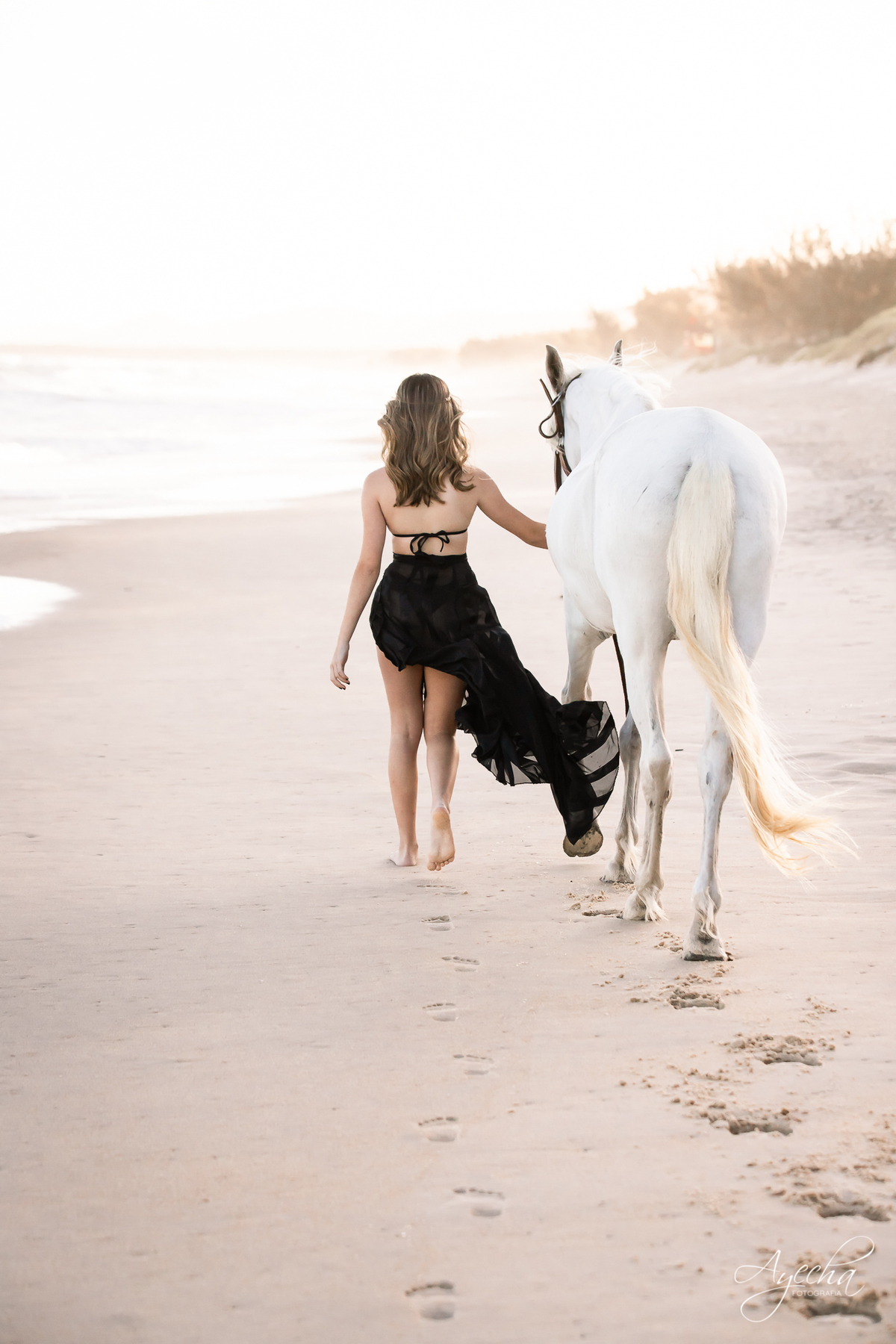 Ensaio de debutante; ensaio com cavalos; debutantes; 15 anos; cavalo; castelo do batel, dreamland; cerezzo eventos; central hall; florianópolis; haras ype; 15 anos curitiba; festa de 15 anos; vestido de debutante; castello reale; Palacio Italia;