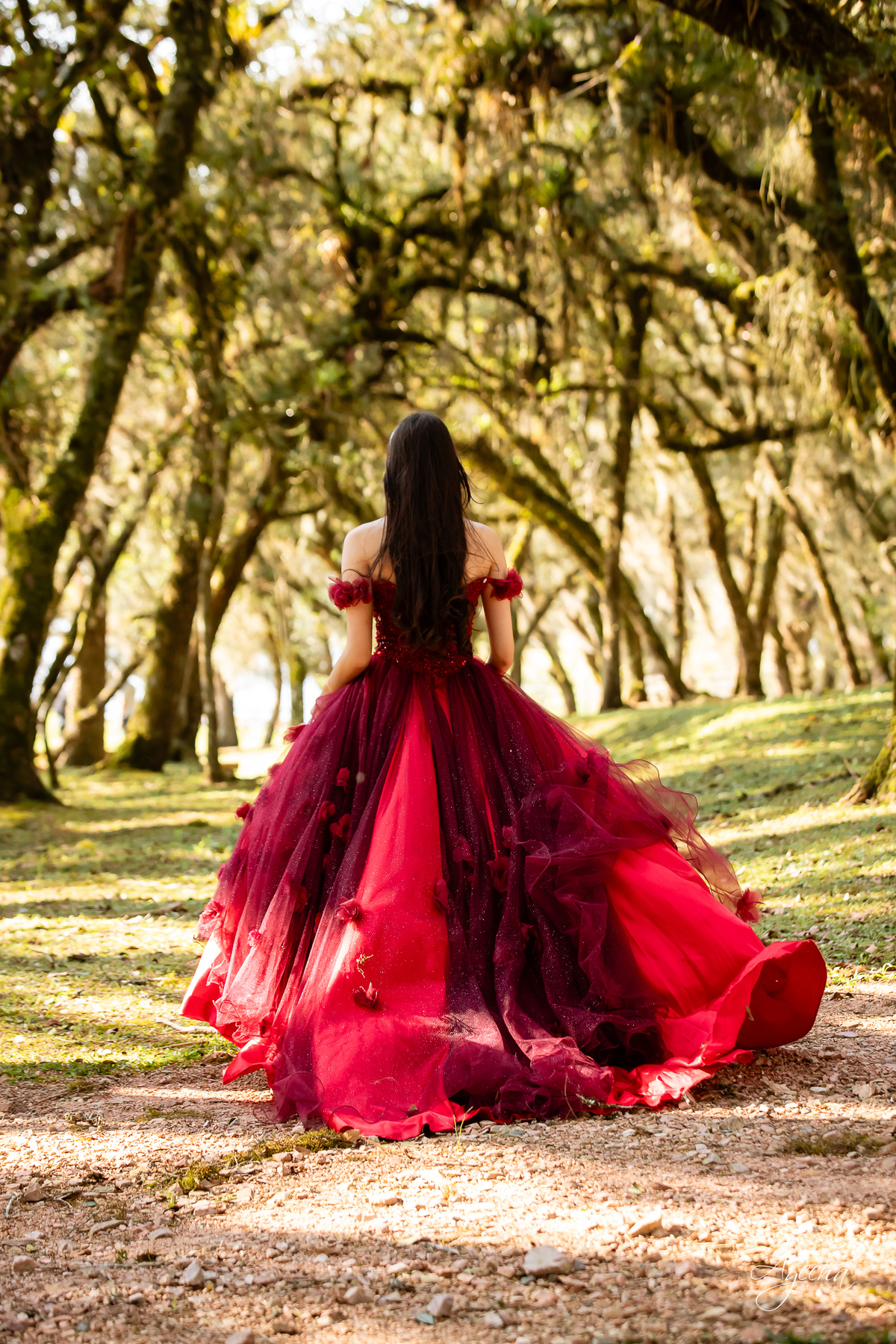 Chácara Ienkot; Ensaio de Debutante Curitiba; Ensaio 15 anos Curitiba; Fotógrafos de 15 anos Curitiba; Chácara para ensaios Curitiba; Lugares para fazer ensaios em Curitiba; Vestido de debutante; Debutante 15 anos Curitiba; 15 anos Piraquara;