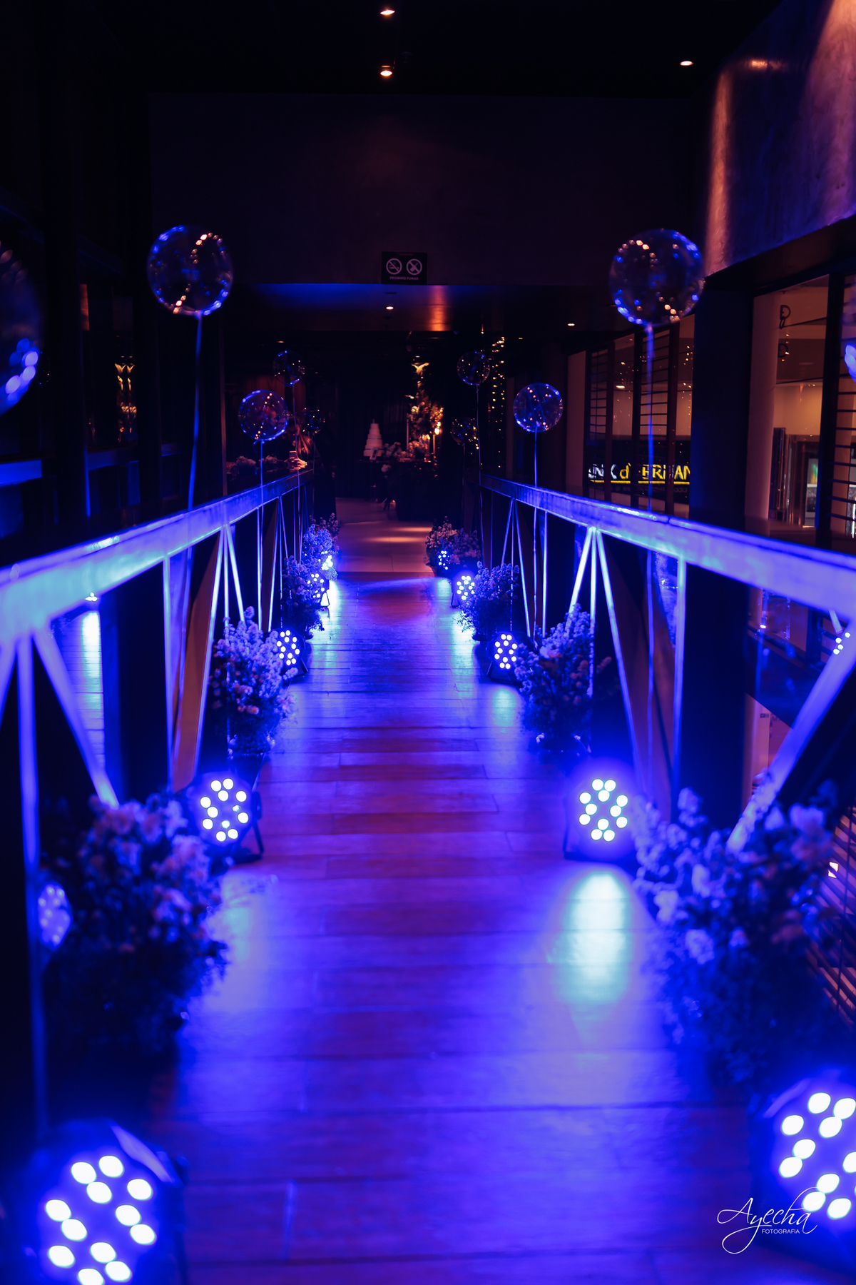 fotógrafo festa 15 anos Curitiba, debutante alto padrão Curitiba, festa Coco Bambu Curitiba, fotógrafa debutantes Curitiba, ensaio debutante Curitiba, festa luxo 15 anos Curitiba, fotos debutante sofisticada, debutante Curitiba exclusiva, berton show