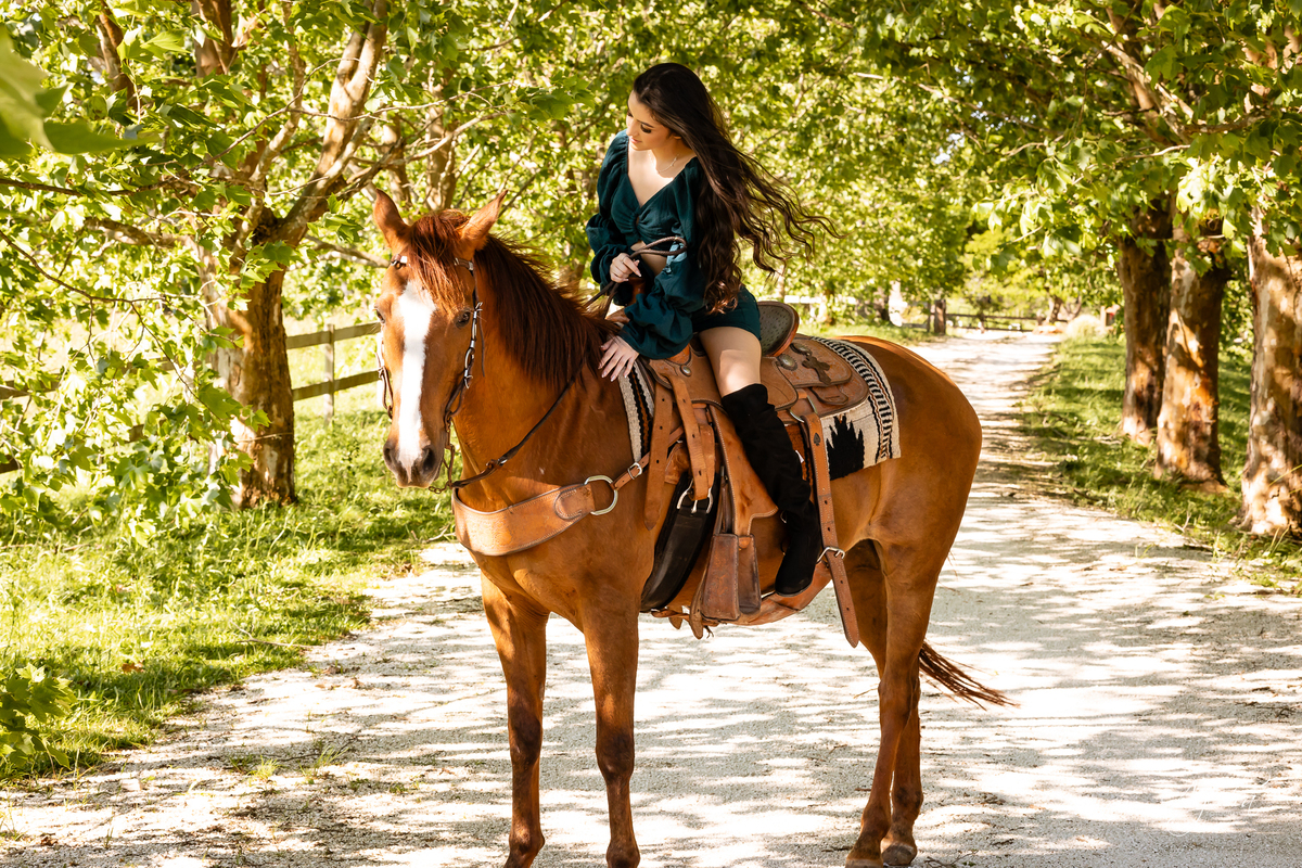 Castelo da Serra; Castello da Serra; Ensaios em Piraquara; Fotos Piraquara; Fotografo de Eventos Piraquara; Ensaio Debutante; Ensaio pré wedding, Casamento intimista; foto de casamentos; Ensaio cavalo; Fotografo piraquara; 15 anos ensaio; 