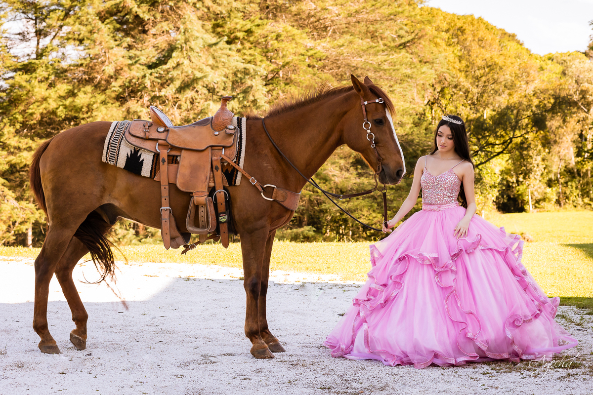 Castelo da Serra; Castello da Serra; Ensaios em Piraquara; Fotos Piraquara; Fotografo de Eventos Piraquara; Ensaio Debutante; Ensaio pré wedding, Casamento intimista; foto de casamentos; Ensaio cavalo; Fotografo piraquara; 15 anos ensaio; 