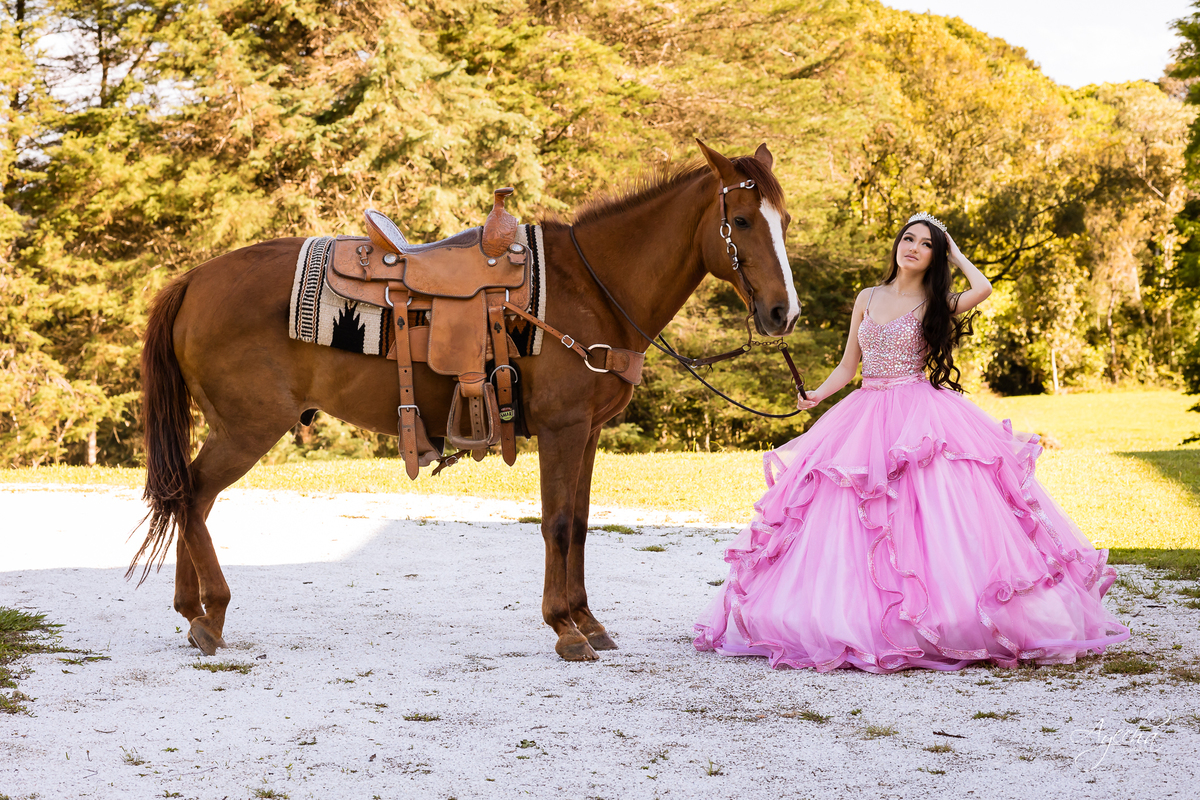 Castelo da Serra; Castello da Serra; Ensaios em Piraquara; Fotos Piraquara; Fotografo de Eventos Piraquara; Ensaio Debutante; Ensaio pré wedding, Casamento intimista; foto de casamentos; Ensaio cavalo; Fotografo piraquara; 15 anos ensaio; 