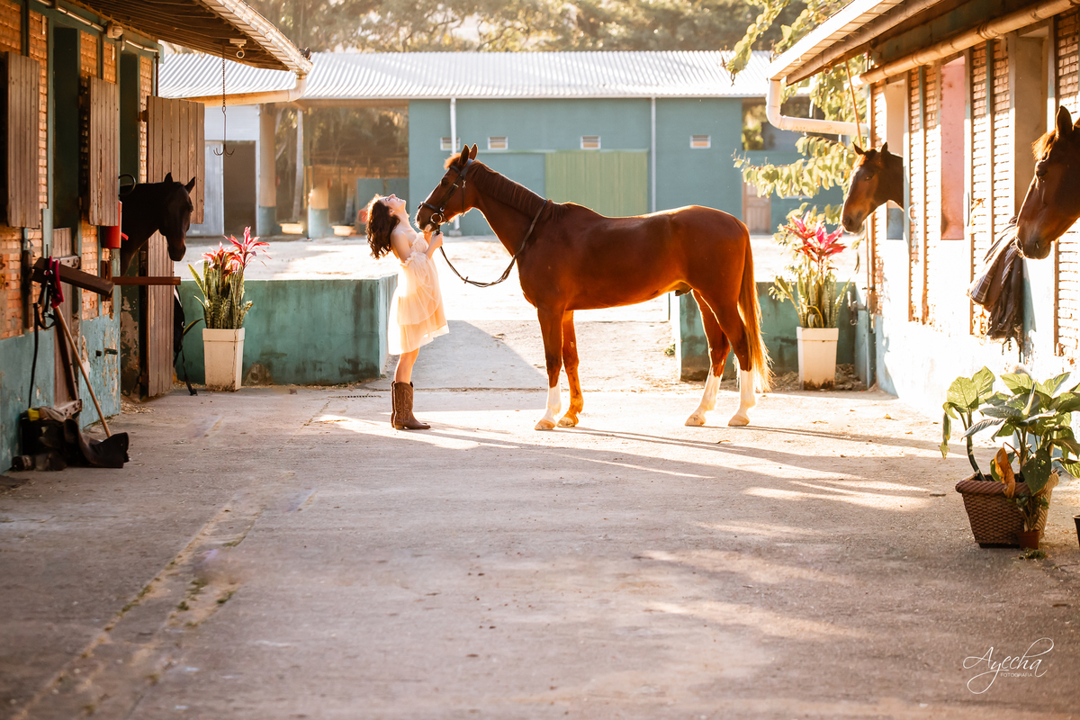 Ensaio praia; SHCSC; SOCIEDADE HIPICA CATARINENSE; ensaio hipica; ensaio cavalos; horse; amazona; hipismo; horse; love horse; fotos com cavalos; ensaio cavalo curitiba; ensaio feminino com cavalo; ideias de fotos com cavalos; hipica curitiba;