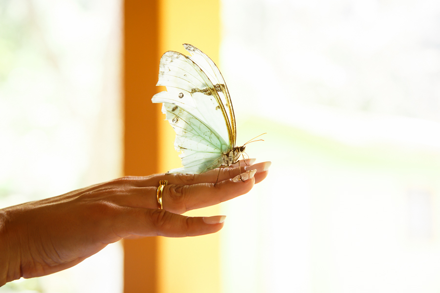 Mini Wedding - Colombo - Pr