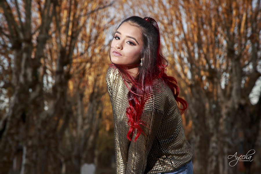 Ensaio 15 anos Curitiba - Debutantes de Curitiba - Fotografia de 15 anos Ensaio 15 anos Curitiba - Debutantes de Curitiba - Fotografia de 15 anos 