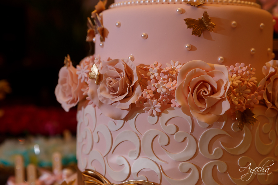 Fotografia de 15 anos; Vídeo de 15 anos; Debutantes Curitiba; Deborah Ayecha Fotografia; Festa de debutante; Festa de 15 anos;