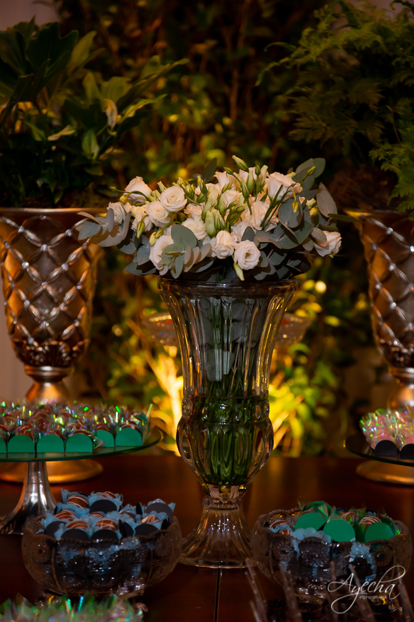 18 anos; Festa de 18 anos; Thiago Ronkoski; Deborah Ayecha Fotografia, Fotografo Curitiba, Fotografia Curitiba, Buffet Original, Fotografia de casamento; Debutantes Curitiba, 15 anos; Photographer, Wedding, Fotografia de casamento curitiba;