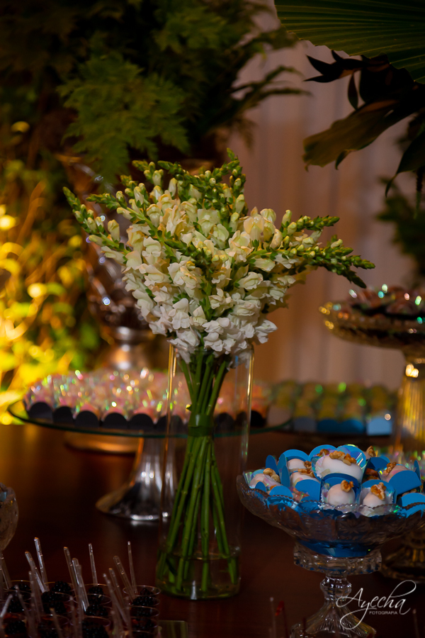 18 anos; Festa de 18 anos; Thiago Ronkoski; Deborah Ayecha Fotografia, Fotografo Curitiba, Fotografia Curitiba, Buffet Original, Fotografia de casamento; Debutantes Curitiba, 15 anos; Photographer, Wedding, Fotografia de casamento curitiba;