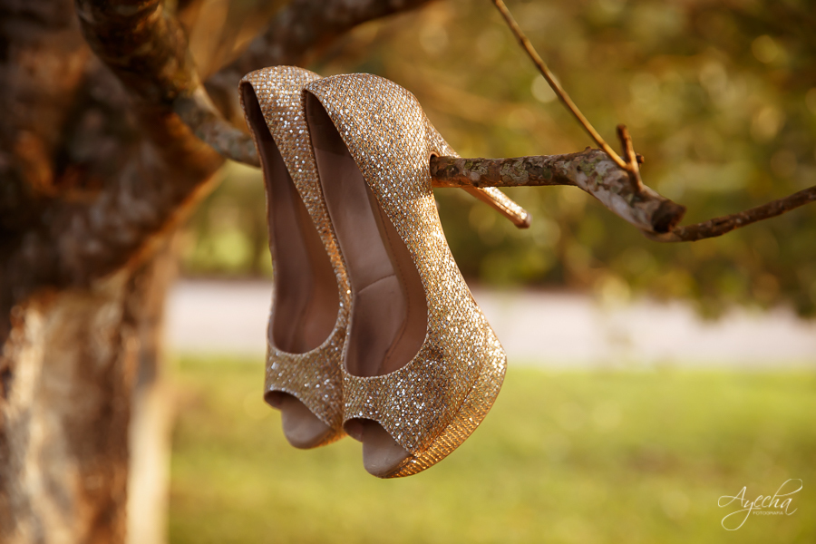 15 ANOS; DEBUTANTE; FESTA DE DEBUTANTE; FESTA DE 15 ANOS; ENSAIO DE DEBUTANTE; ENSAIO DE 15 ANOS; FESTA DE DEBUTANTE; FESTA DE 15 ANOS; CHACARA ABURA; MAKING OF DEBUTANTE; FOTOGRAFO DE 15 ANOS; FOTOGRAFIA; DEBORAH AYECHA FOTOGRAFIA