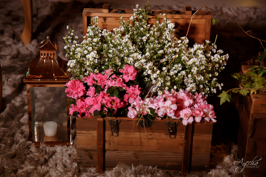 15 ANOS; DEBUTANTE; FESTA DE DEBUTANTE; FESTA DE 15 ANOS; ENSAIO DE DEBUTANTE; ENSAIO DE 15 ANOS; FESTA DE DEBUTANTE; FESTA DE 15 ANOS; CHACARA ABURA; MAKING OF DEBUTANTE; FOTOGRAFO DE 15 ANOS; 15 ANOS CURITIBA; VESTIDO DE DEBUTANTE; VESTIDO 15 ANOS