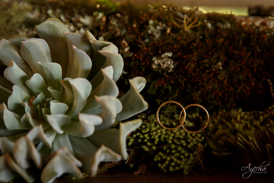 Casamento Deck Bolsi; Espaço para eventos Colombo; Espaço para eventos Piraquara; Deborah Ayecha Fotografia; Fotografo de casamento curitiba; fotografos curitiba; melhores fotografos de casamento. 