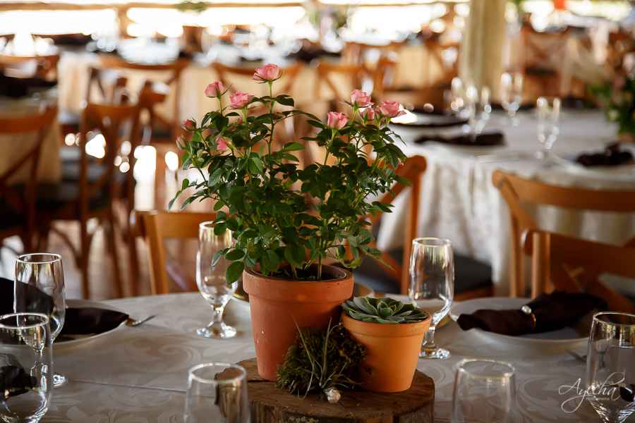 Casamento Deck Bolsi; Espaço para eventos Colombo; Espaço para eventos Piraquara; Deborah Ayecha Fotografia; Fotografo de casamento curitiba; fotografos curitiba; melhores fotografos de casamento. 