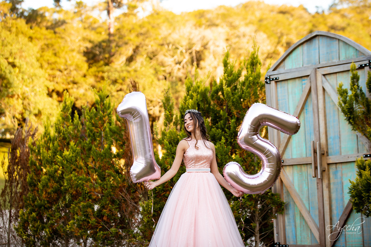 15 anos curitiba; ensaio 15 anos; ensaio debutante; book 15 anos; chácara ienkot; 15 anos urbano; 15 anos romantico; debutante street; chacara para ensaios; vestido debutante; festa 5 anos; pinterest; tumbler; balões; 