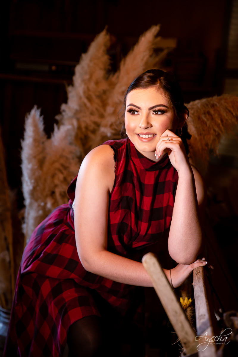 Ensaio 15 anos Curitiba;  São José dos Pinhais; Piraquara;  Debutante Curitiba; Ensaio Teen; Ensaio Celeiro; Ensaio Rústico; xv anos; vestido debutante; ienkot; mc donalds; diabetes; festa 15 anos; melhores fotógrafos curitiba; especialista 15 anos