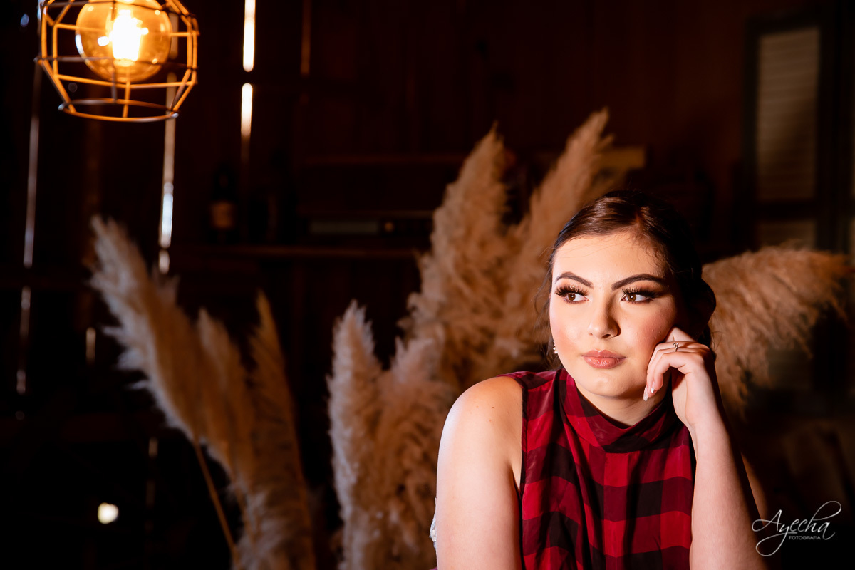 Ensaio 15 anos Curitiba;  São José dos Pinhais; Piraquara;  Debutante Curitiba; Ensaio Teen; Ensaio Celeiro; Ensaio Rústico; xv anos; vestido debutante; ienkot; mc donalds; diabetes; festa 15 anos; melhores fotógrafos curitiba; especialista 15 anos