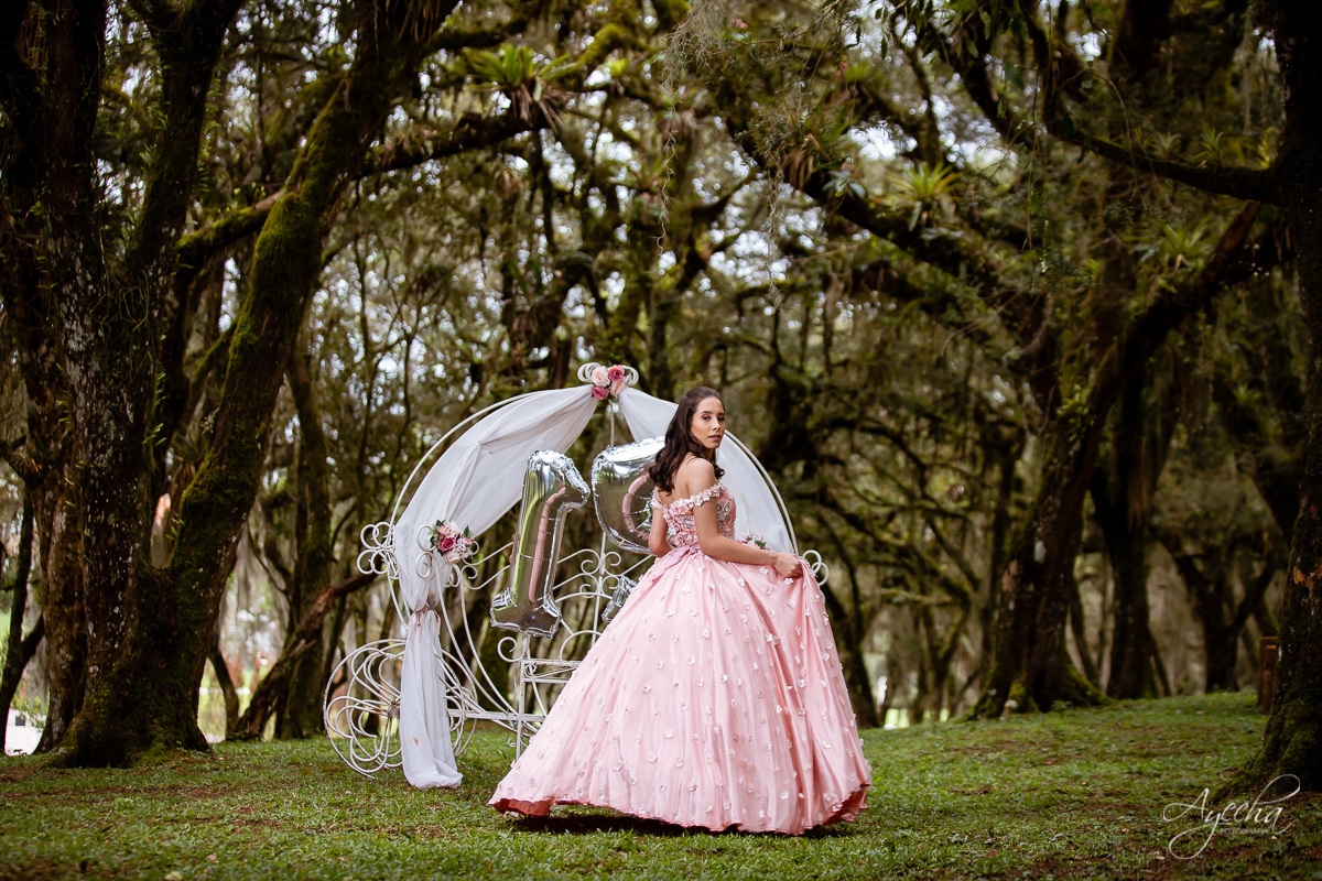 15 anos curitiba; vestido de debutante; 15 anos são josé dos pinhais; fotógrafos curitiba; ensaio romântico; ensaio delicado; debutante curitiba; book 15 anos; ensaio 15 anos; ensaio debutante; curitiba; piraquara; são josé dos pinhais; colombo; 