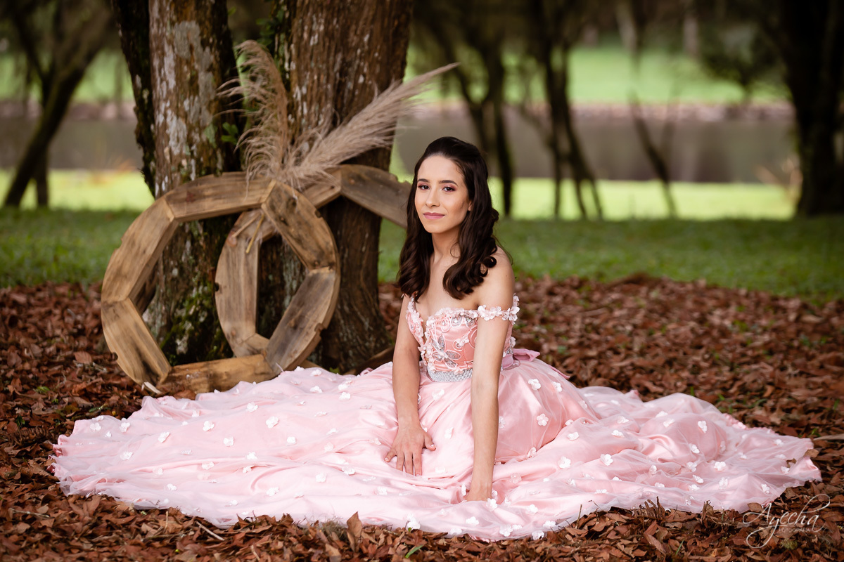 15 anos curitiba; vestido de debutante; 15 anos são josé dos pinhais; fotógrafos curitiba; ensaio romântico; ensaio delicado; debutante curitiba; book 15 anos; ensaio 15 anos; ensaio debutante; curitiba; piraquara; princesa; colombo; 