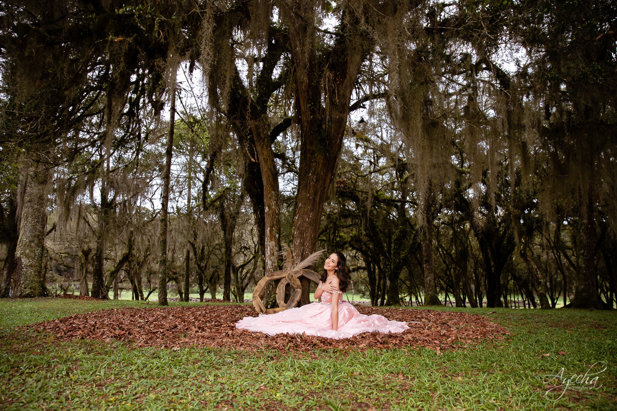 15 anos curitiba; vestido de debutante; 15 anos são josé dos pinhais; fotógrafos curitiba; ensaio romântico; ensaio delicado; debutante curitiba; book 15 anos; ensaio 15 anos; ensaio debutante; curitiba; piraquara; princesa; colombo; 