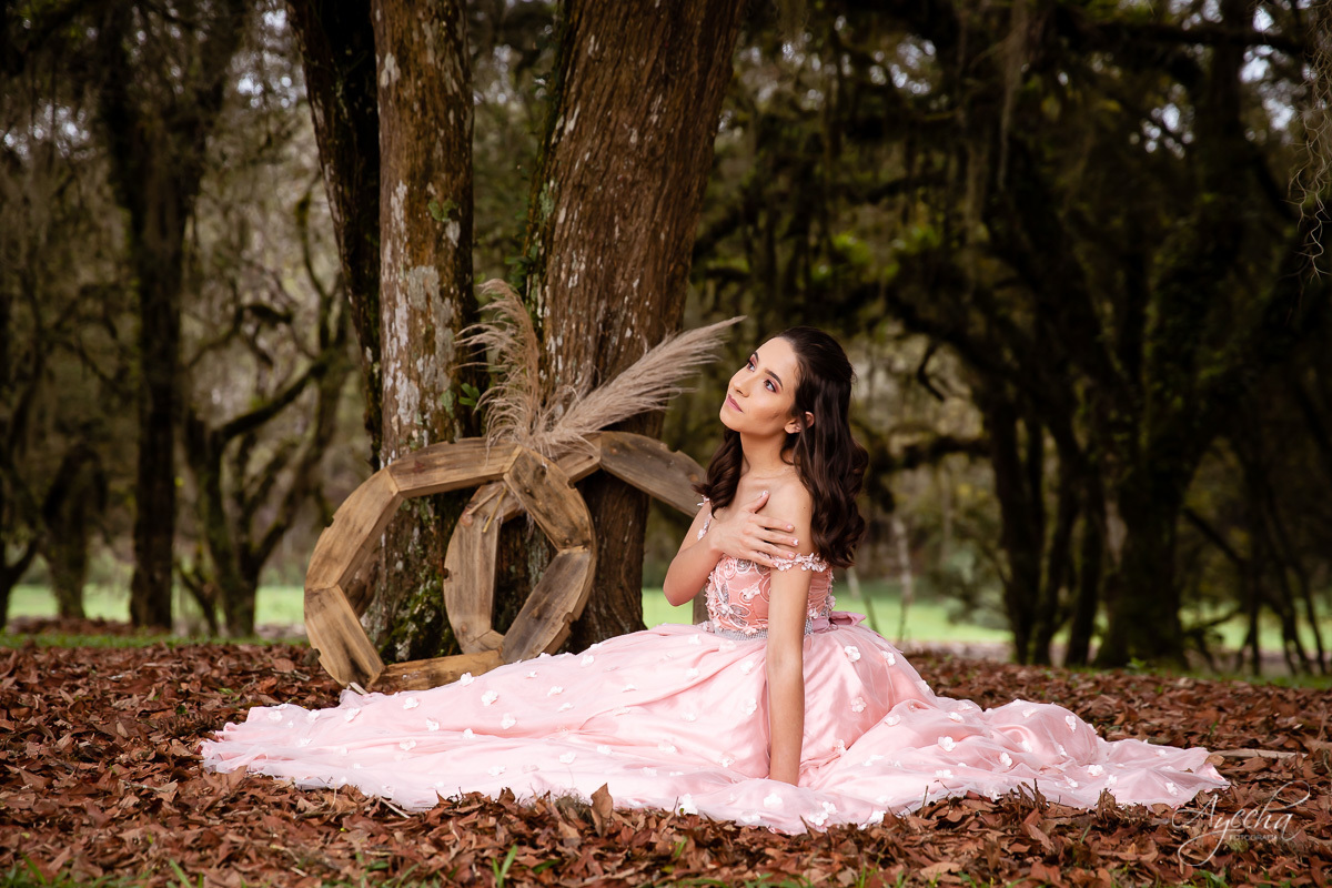 15 anos curitiba; vestido de debutante; 15 anos são josé dos pinhais; fotógrafos curitiba; ensaio romântico; ensaio delicado; debutante curitiba; book 15 anos; ensaio 15 anos; ensaio debutante; curitiba; piraquara; princesa; colombo; 