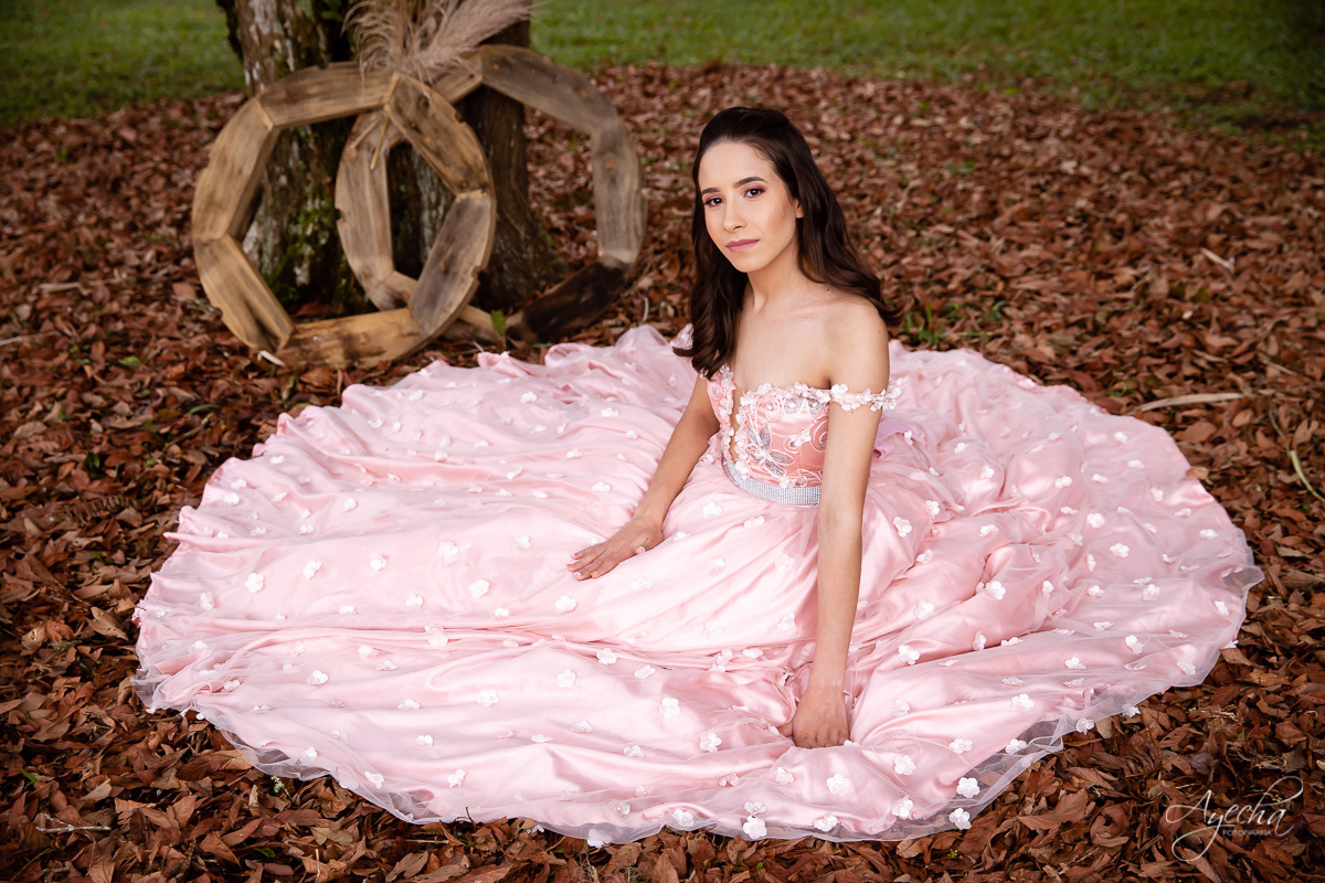 15 anos curitiba; vestido de debutante; 15 anos são josé dos pinhais; fotógrafos curitiba; ensaio romântico; ensaio delicado; debutante curitiba; book 15 anos; ensaio 15 anos; ensaio debutante; curitiba; piraquara; princesa; colombo; 