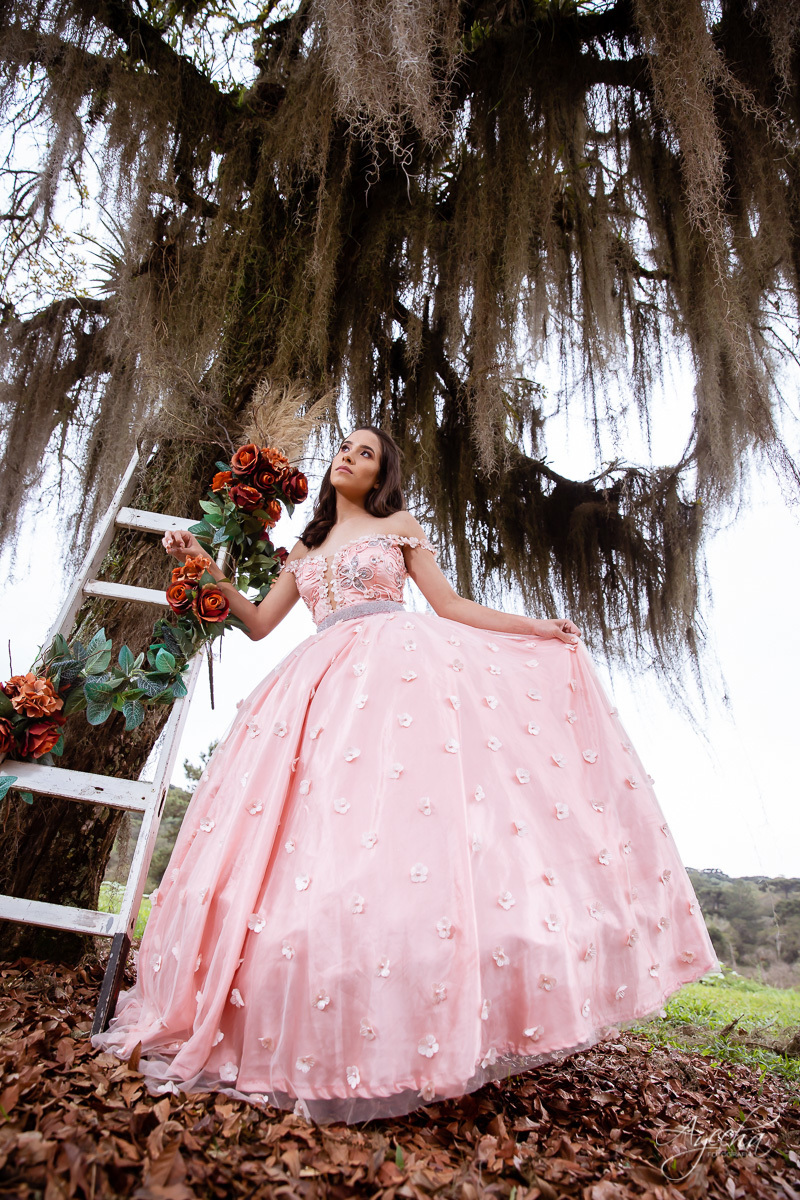 15 anos curitiba; vestido de debutante; 15 anos são josé dos pinhais; fotógrafos curitiba; ensaio romântico; ensaio delicado; debutante curitiba; book 15 anos; ensaio 15 anos; ensaio debutante; curitiba; piraquara; princesa; colombo; 