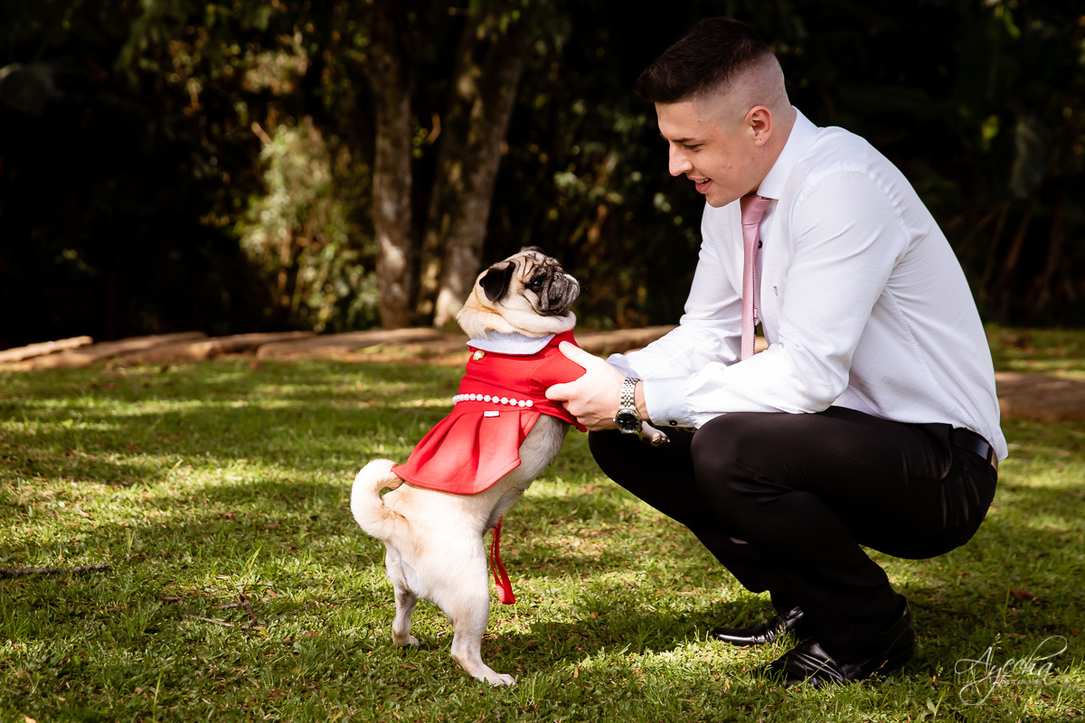 casamento civil curitiba; fotografia casamento civil; casamento piraquara; casamento pinhais; ensaio casamento; fotos de casamento civil; 