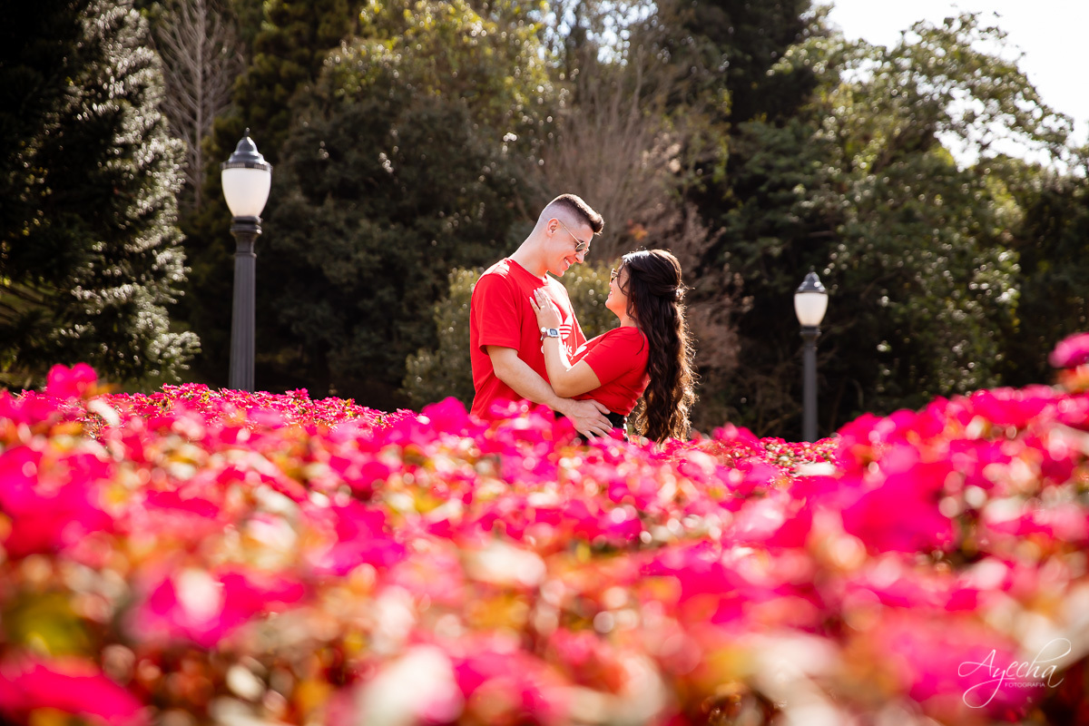 casamento civil curitiba; fotografia casamento civil; casamento piraquara; casamento pinhais; ensaio casamento; fotos de casamento civil; bosque do alemão;