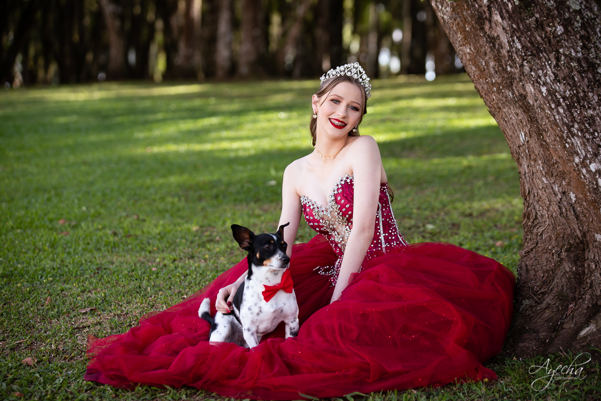 Ensaio de 15 anos; 15 anos Curitiba; Debutante; Chácara ensaio fotográfico Curitiba; Fotografa Piraquara; Vestidos debutante Curitiba; São José dos Pinhais; Quatro Barras; Pinhais; Ensaio Fotográfico; Book 15 anos; Debutar; Festa de Debutante;