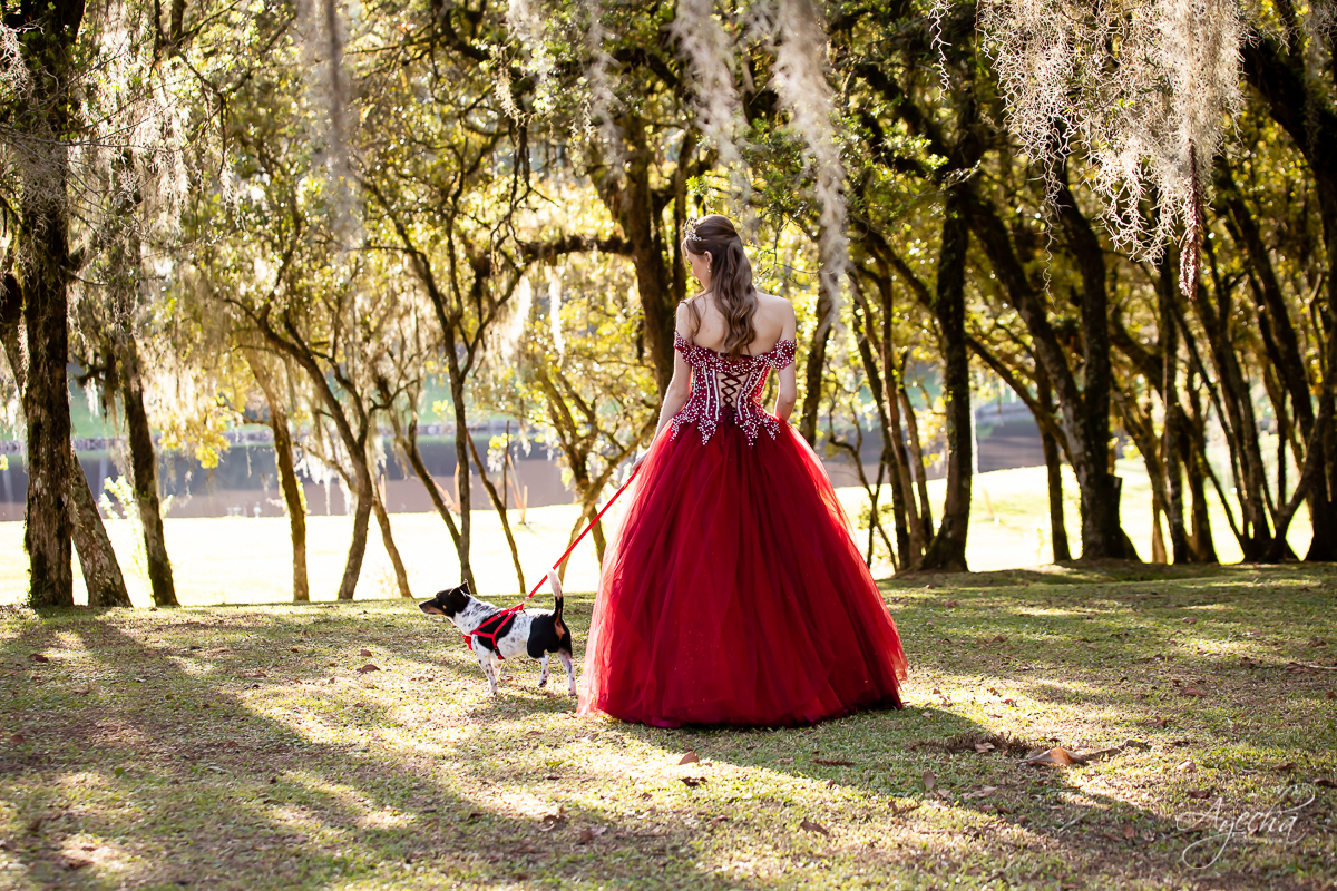 Ensaio de 15 anos; 15 anos Curitiba; Debutante; Chácara ensaio fotográfico Curitiba; Fotografa Piraquara; Vestidos debutante Curitiba; São José dos Pinhais; Quatro Barras; Pinhais; Ensaio Fotográfico; Book 15 anos; Debutar; Festa de Debutante;
