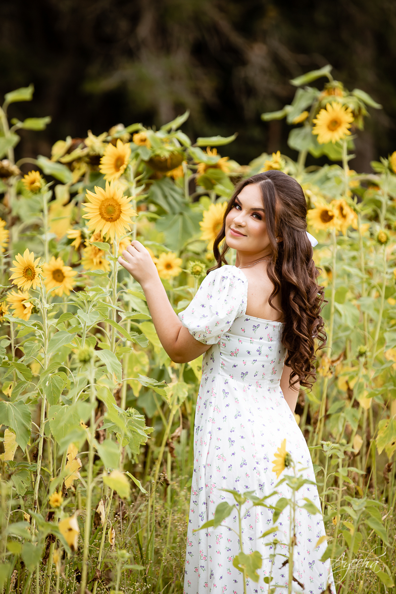 Ensaio 15 anos; Debutantes Curitiba; Ensaio no campo; chácara ienkot; Fotografa Piraquara; Ensaio romântico; Inspiração de 15 anos; Campo de girassóis; Fotografa de debutantes Curitiba; Ensaio externo; Ensaios Curitiba; Book de 15 anos; Meus 15 anos; 