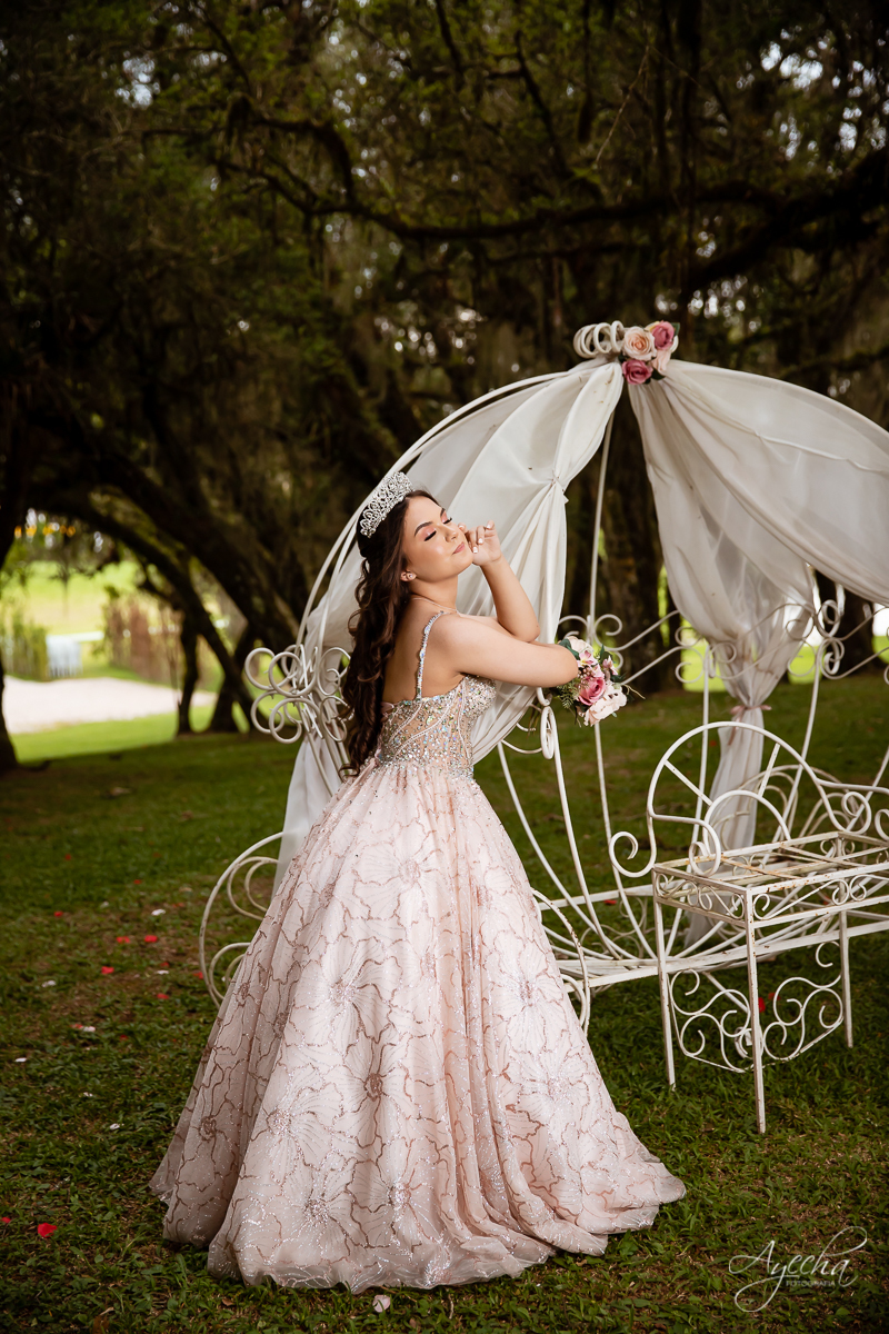 Ensaio 15 anos; Debutantes Curitiba; Ensaio no campo; chácara ienkot; Fotografa Piraquara; Ensaio romântico; Inspiração de 15 anos; Fotografa de debutantes Curitiba; Ensaio externo; Ensaios Curitiba; Carruagem de princesa; Vestidos 15 anos; Meus 15 anos;