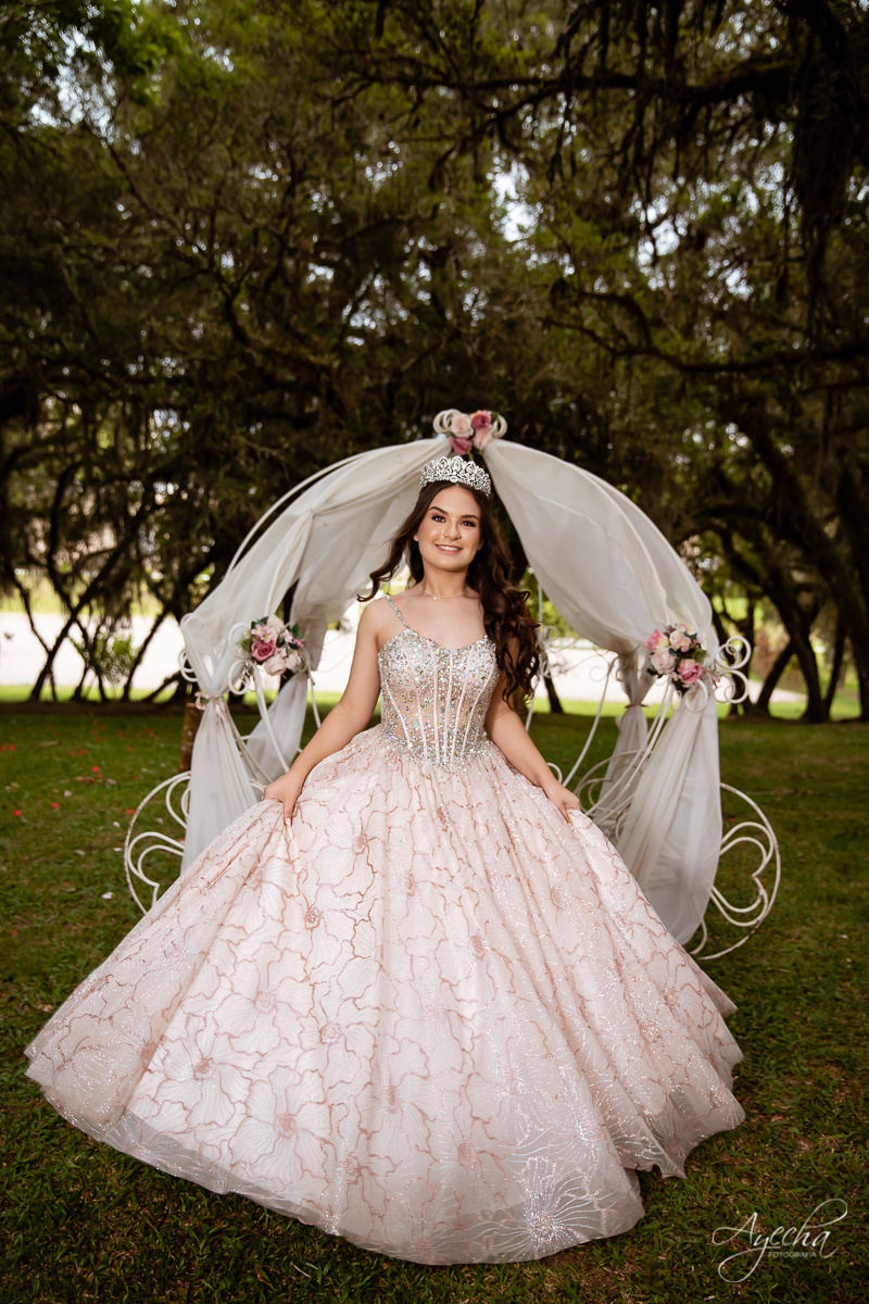Ensaio 15 anos; Debutantes Curitiba; Ensaio no campo; chácara ienkot; Fotografa Piraquara; Ensaio romântico; Inspiração de 15 anos; Fotografa de debutantes Curitiba; Ensaio externo; Ensaios Curitiba; Carruagem de princesa; Vestidos 15 anos; Meus 15 anos;