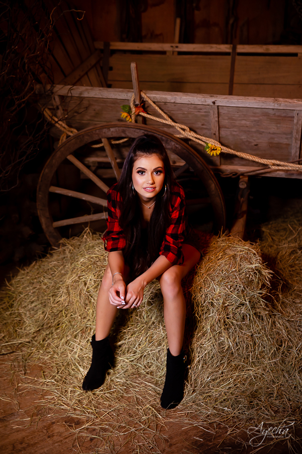 Ensaio de 15 anos; Inspiração 15 anos; Fotografa Curitiba; Fotografa debutante; Chácara Ienkot; 15 anos Curitiba; Fotografa Piraquara; Meus 15 anos; 15 anos dos sonhos; Ensaios São José dos Pinhais; Ensaios Curitiba; Ensaio rustico; Ensaio celeiro;