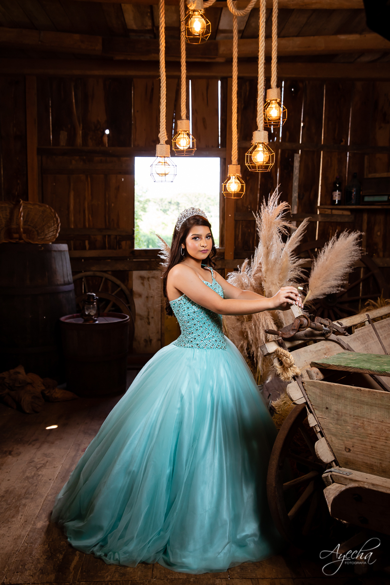 Ensaio 15 anos; Meus 15 anos; Fotografa Curitiba; Amanda Ienkot makeup; Chácara fotográfica em São José dos Pinhias; Fotógrafa de debutantes; Fotografa Piraquara; Ensaio celeiro; Deborah Ayecha Fotógrafa; Vestido debutante; Cinderela Debutante;