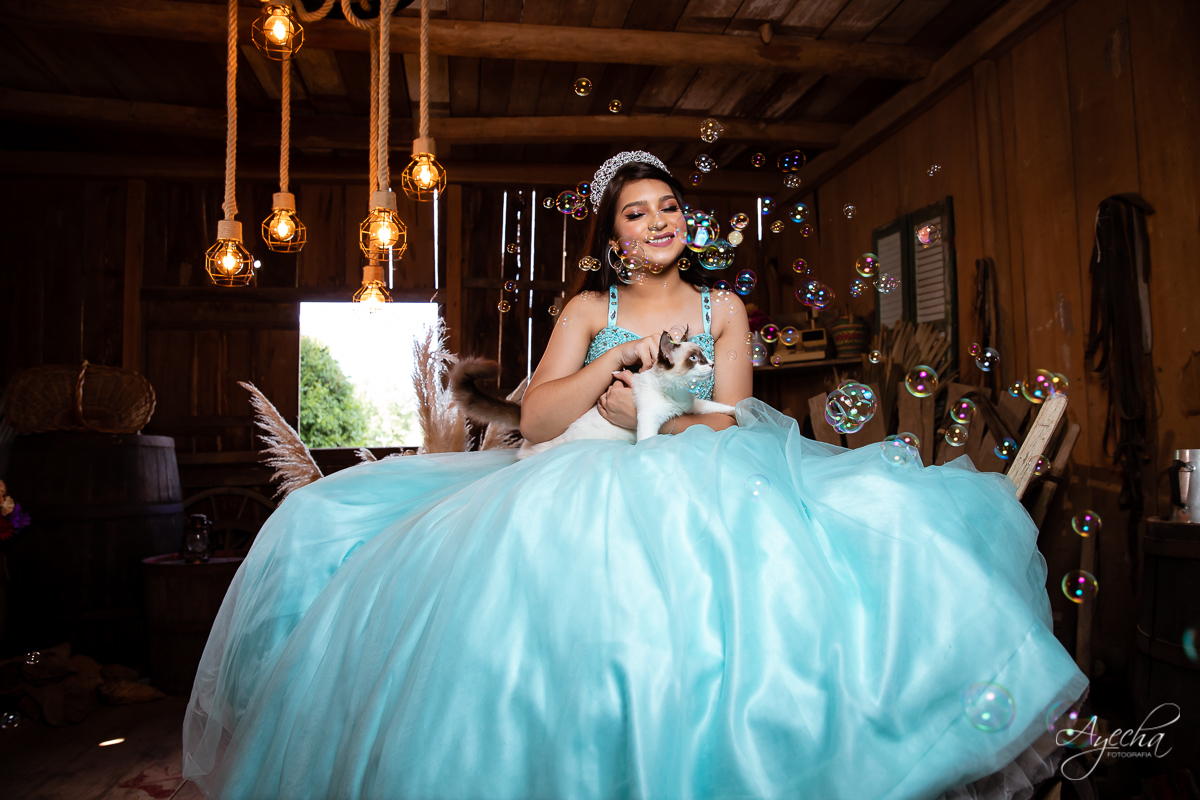 Ensaio 15 anos; Meus 15 anos; Fotografa Curitiba; Amanda Ienkot makeup; Chácara fotográfica em São José dos Pinhias; Fotógrafa de debutantes; Ensaio celeiro; Deborah Ayecha Fotógrafa; Vestido debutante; Cinderela Debutante; Foto lúdica;