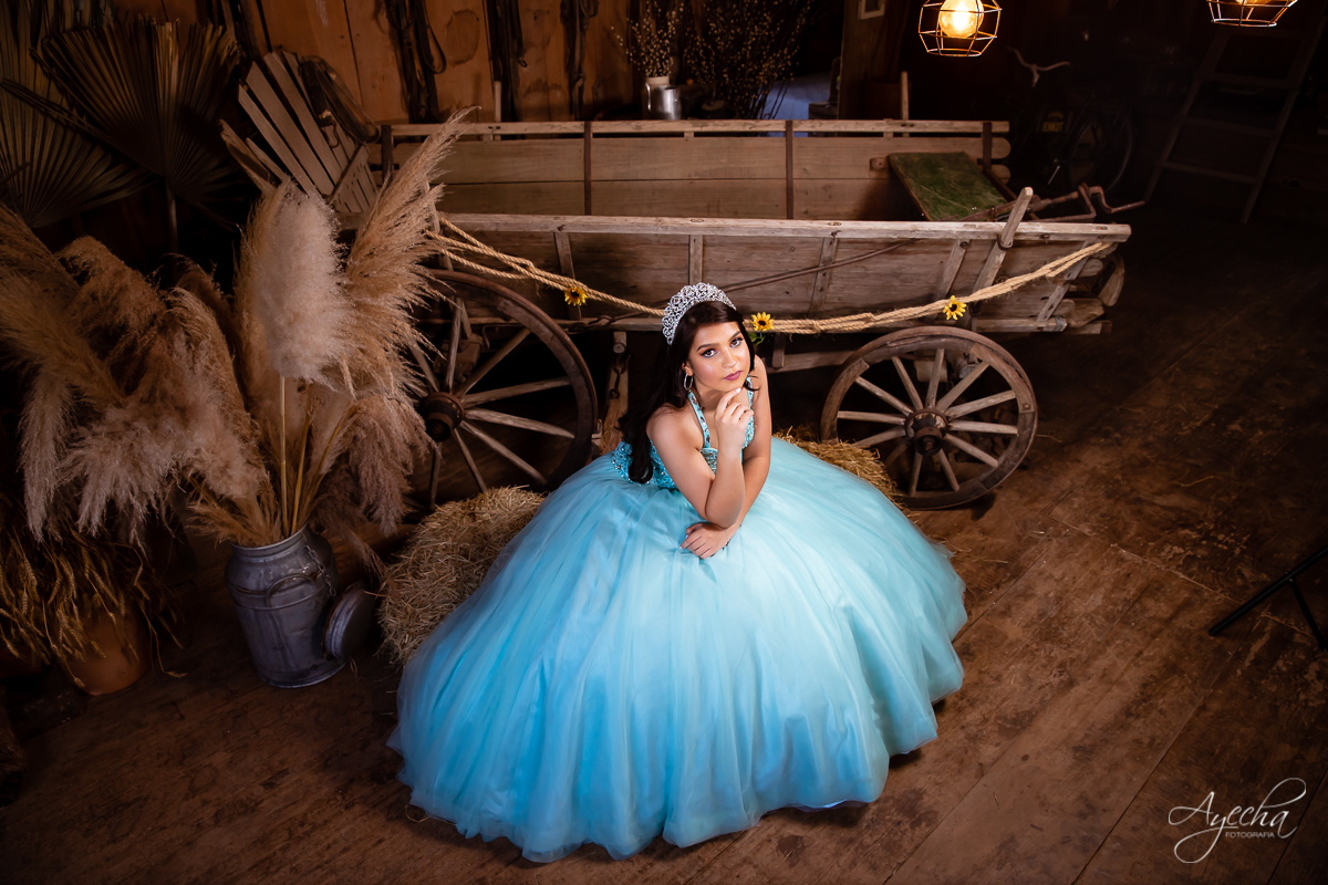 Ensaio 15 anos; Meus 15 anos; Fotografa Curitiba; Amanda Ienkot makeup; Chácara fotográfica em São José dos Pinhias; Fotógrafa de debutantes; Ensaio celeiro; Deborah Ayecha Fotógrafa; Vestido debutante; Cinderela Debutante; Ensaio rustica;