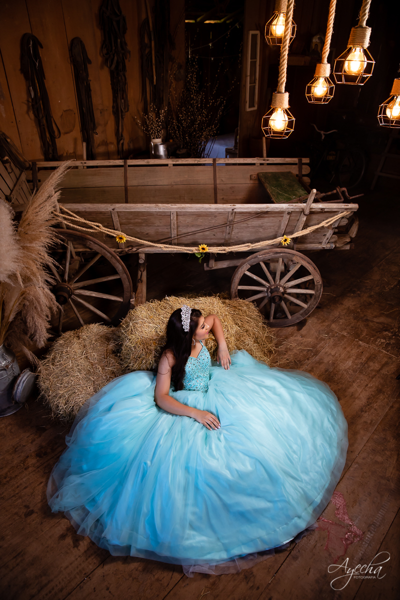 Ensaio 15 anos; Meus 15 anos; Fotografa Curitiba; Amanda Ienkot makeup; Chácara fotográfica em São José dos Pinhias; Fotógrafa de debutantes; Ensaio celeiro; Deborah Ayecha Fotógrafa; Vestido debutante; Cinderela Debutante; Ensaio rustica;