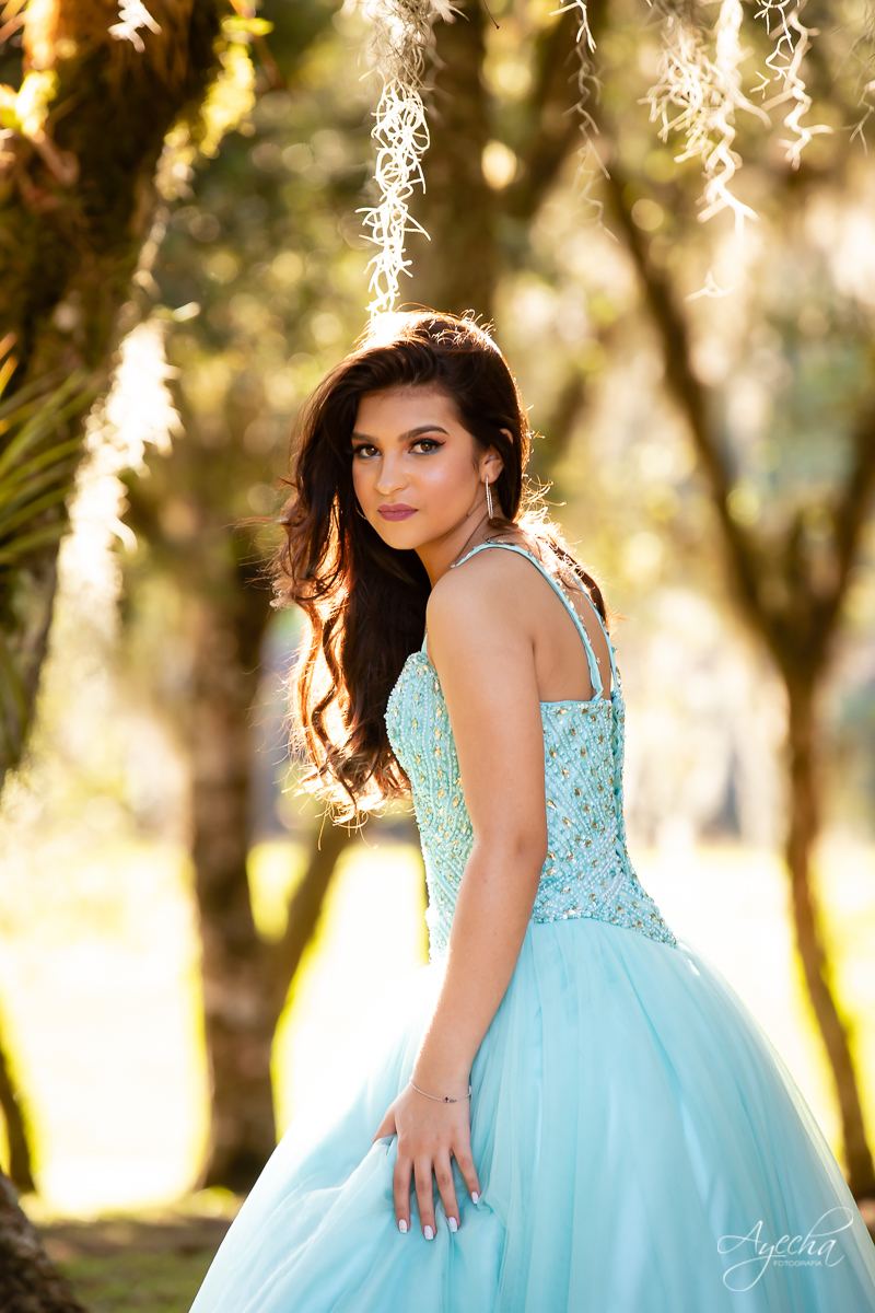 Ensaio 15 anos; Meus 15 anos; Fotografa Curitiba; Amanda Ienkot makeup; Chácara fotográfica em São José dos Pinhias; Fotógrafa de debutantes; Fotografa Piraquara; Ensaio campo; Deborah Ayecha Fotógrafa; Vestido debutante; Cinderela Debutante;