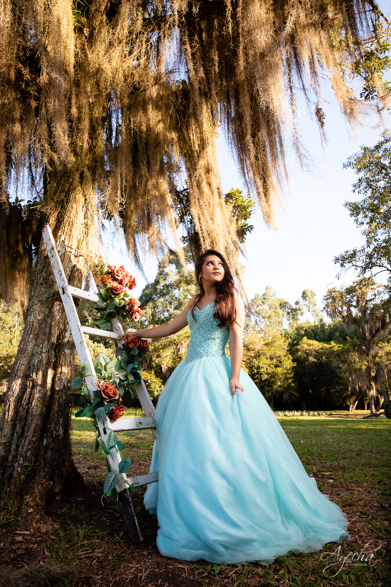 Ensaio 15 anos; Meus 15 anos; Fotografa Curitiba; Amanda Ienkot makeup; Chácara fotográfica em São José dos Pinhias; Fotógrafa de debutantes; Fotografa Piraquara; Ensaio campo; Deborah Ayecha Fotógrafa; Vestido debutante; Cinderela Debutante;