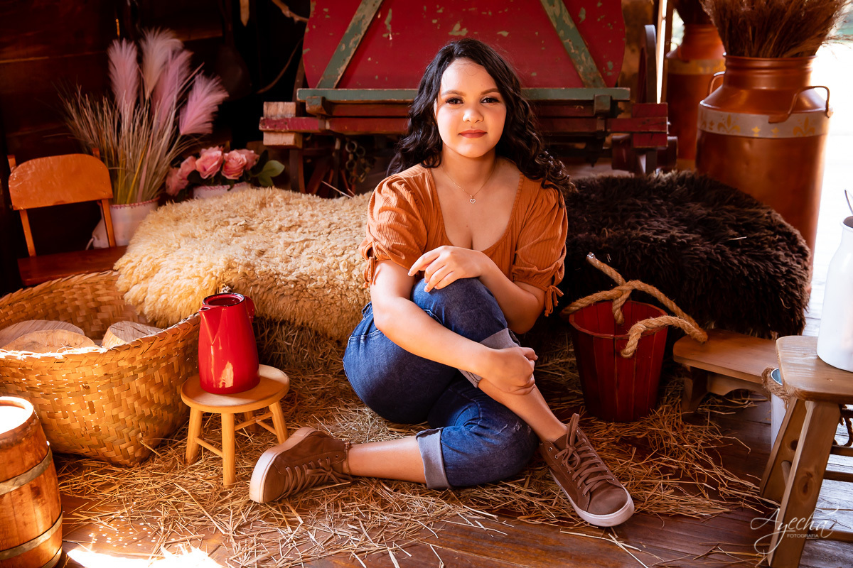 Ensaio 15 anos; Meus 15 anos; Debutantes Curitiba; Fotografa de debutantes; Ensaio romântico 15 anos; Ensaio celeiro; Chácara Sentinela; Ensaio Colombo; Fotografa Piraquara; Debutantes; Inspirações 15 anos; Fotografa Colombo; Ensaio delicado; 