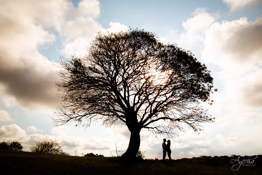 Ensaio casal; Pré weddig; Pôr do sol; Fotografa casal; Fotografa de casamento; Ensaio pré casamento; Casais Curitiba; Noivos Curitiba; Ensaio São José dos 
Pinhais; Recanto Nogarotto; Ensaio romântico; Casais apaixonados; 