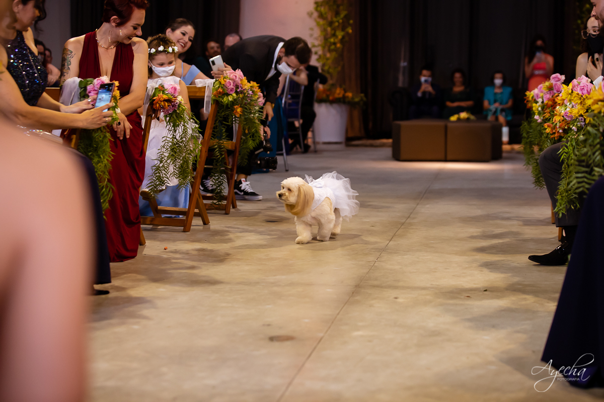 Festa de casamento; Casamento do sonhos; Casamento em Curitiba; Decoração de casamento; Fotografa de casais; Dia dos noivos; Casamentos Pinhais; Hauser Eventos; Inspiração de decoração de casamento; Cerimonia religiosa; Entrada das alianças;