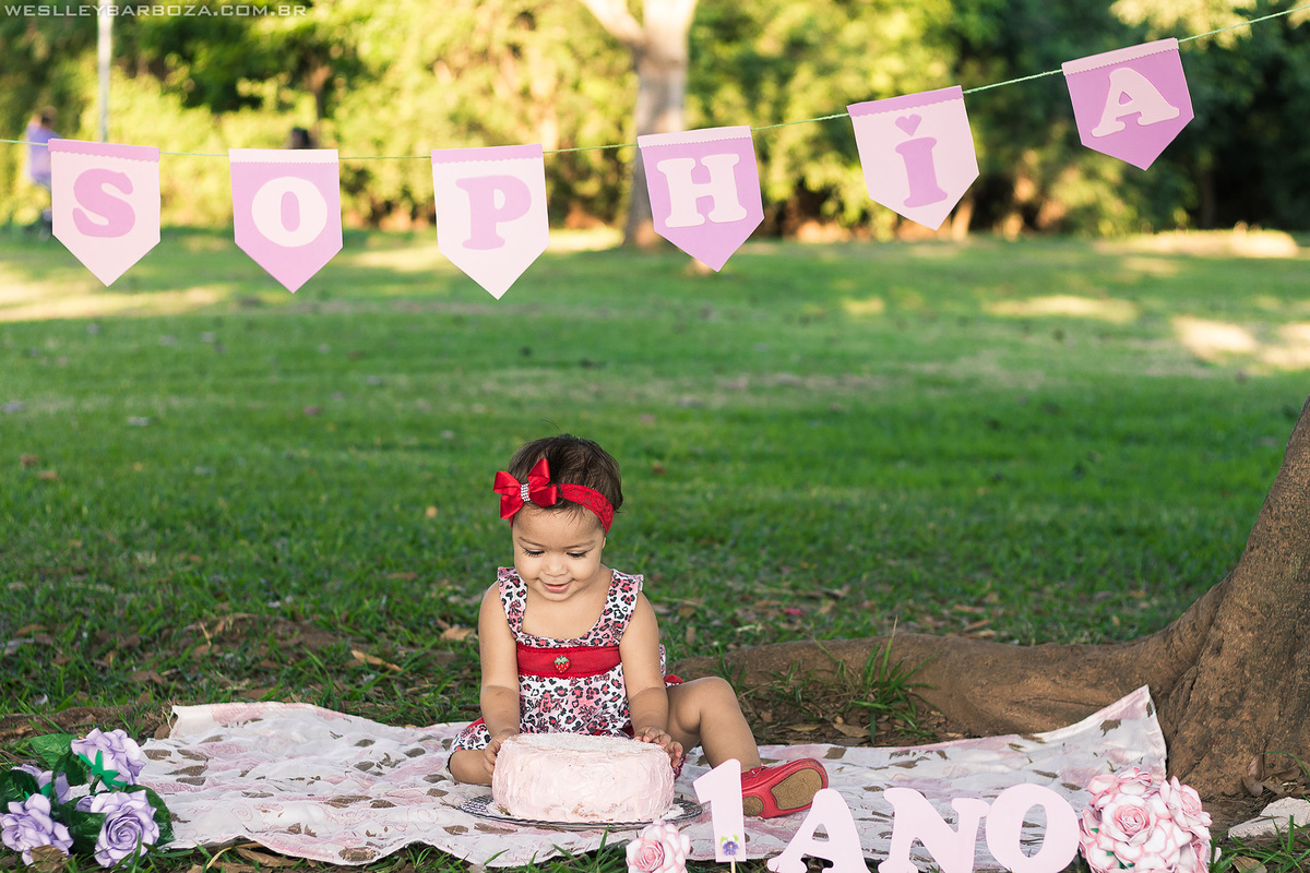 1 aninho parque bolo